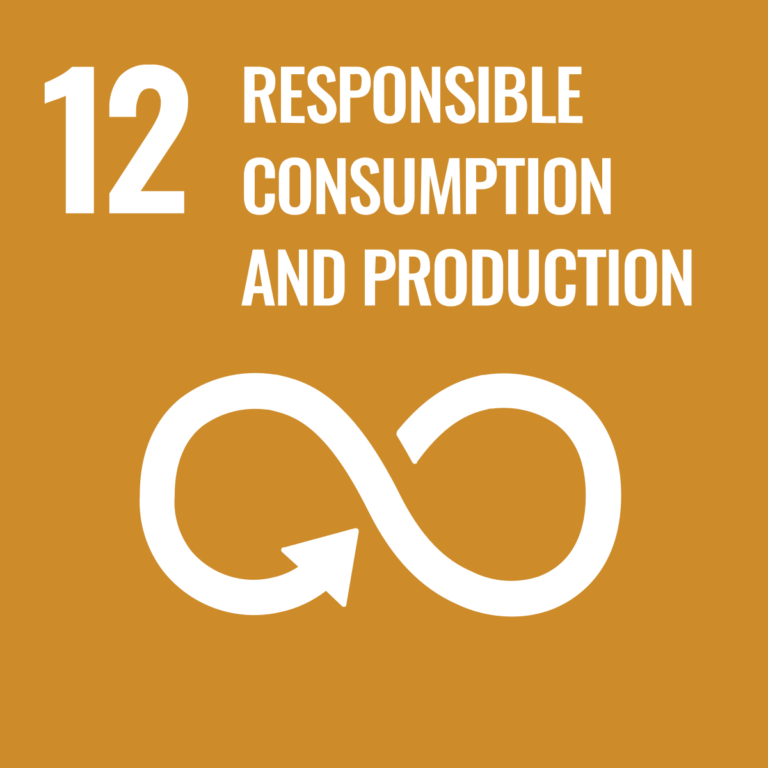 Sustainable_Development_Goal_12ResponsibleConsumption